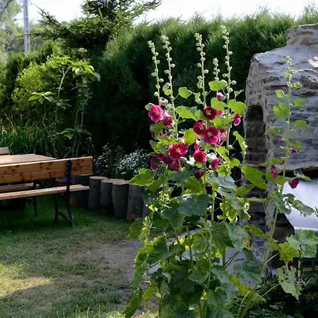 Nad Mlynowka ファームステイ