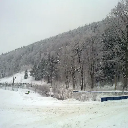 Nad Mlynowka ファームステイ Stronie Śląskie